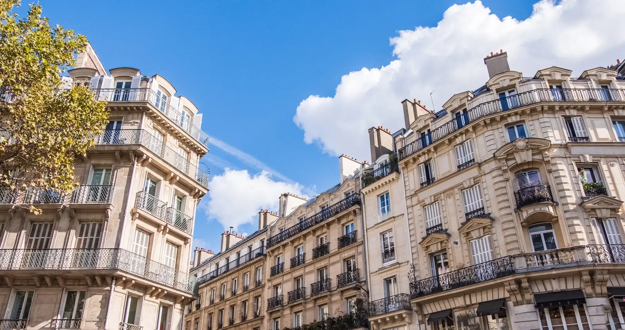 Aerial view of classic Parisian Haussmann buildings and rooftops