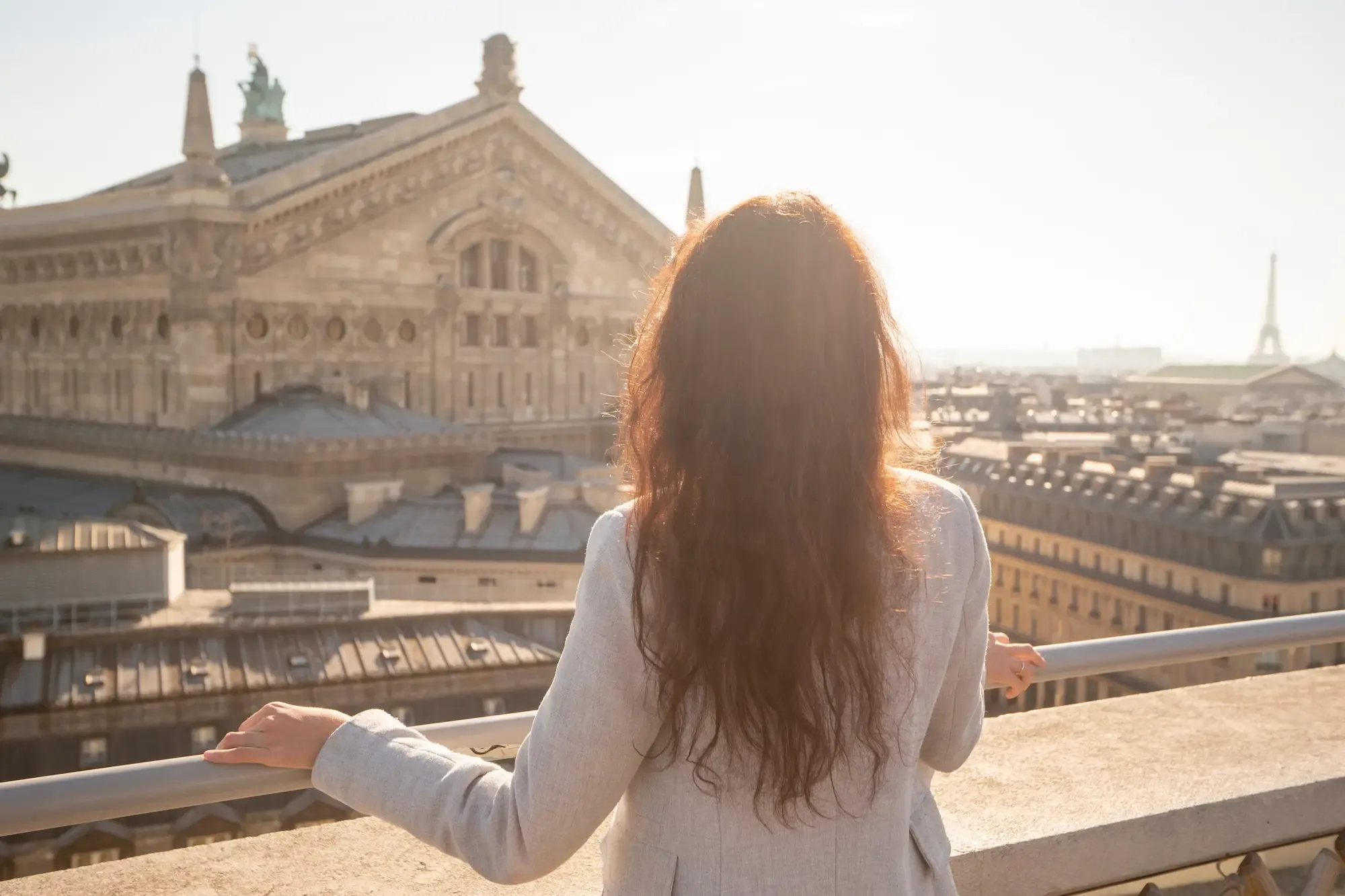 Parisian rooftops and Haussmann buildings